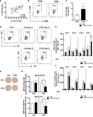 Role of Programmed Cell Death Protein-1 and Lymphocyte Specific Protein Tyrosine Kinase in the Aryl Hydrocarbon Receptor- Mediated Impairment of the IgM Response in Human CD5+ Innate-Like B Cells